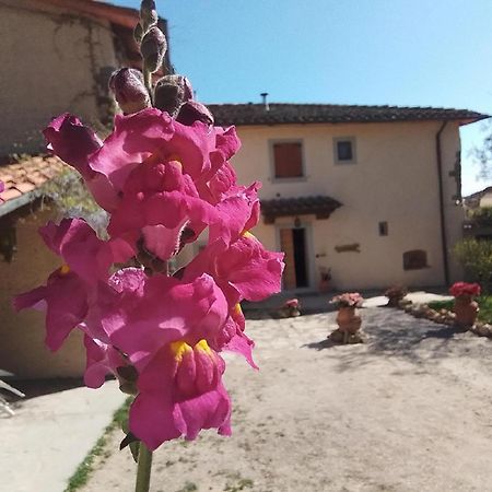 Casa Vacanze Podere Ugolini Ronta Luaran gambar