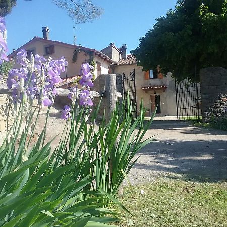 Casa Vacanze Podere Ugolini Ronta Luaran gambar