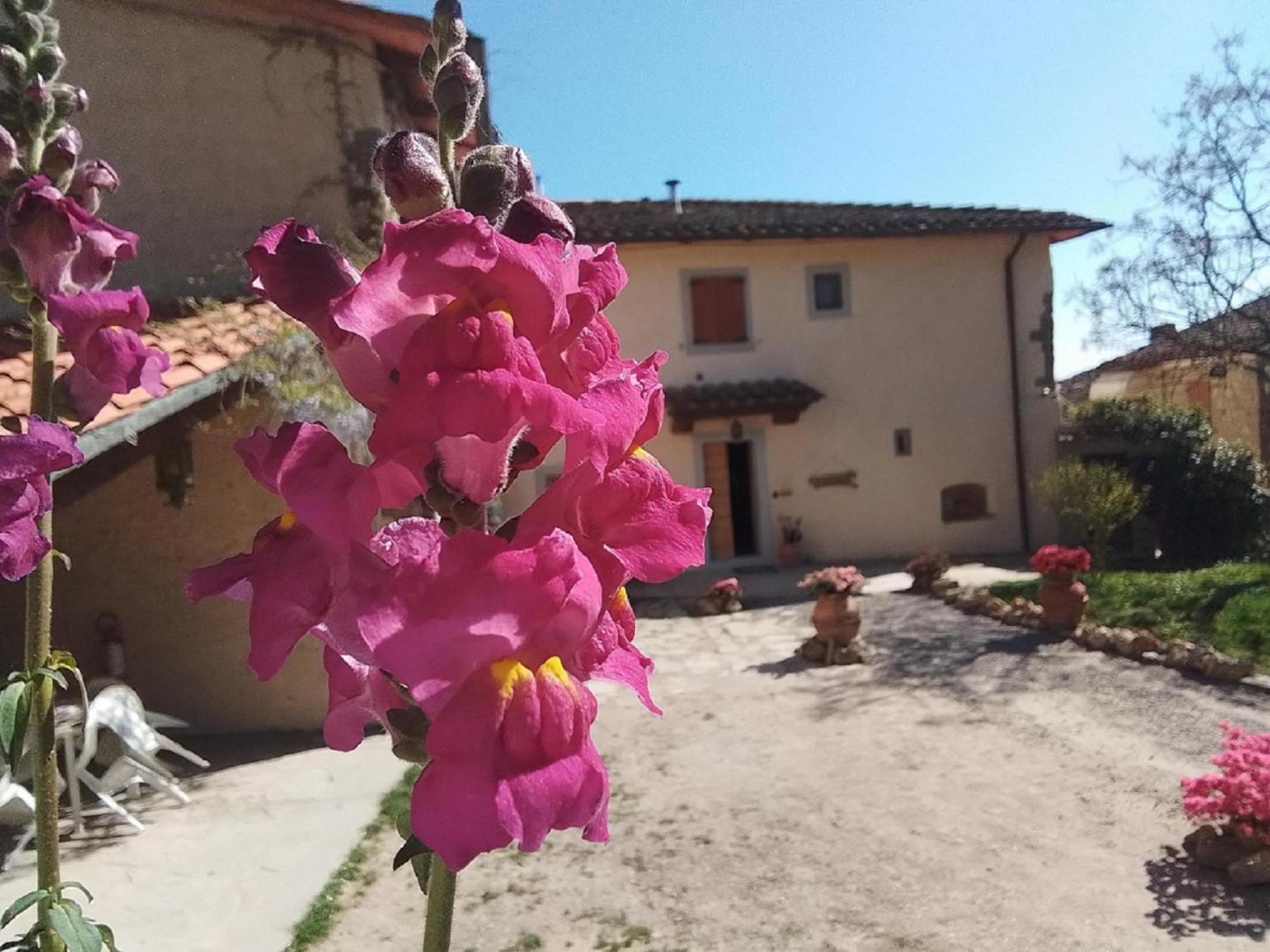 Casa Vacanze Podere Ugolini Ronta Luaran gambar