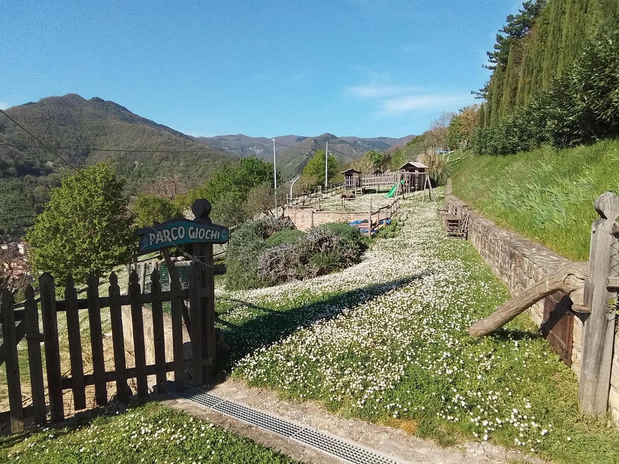 Casa Vacanze Podere Ugolini Ronta Luaran gambar