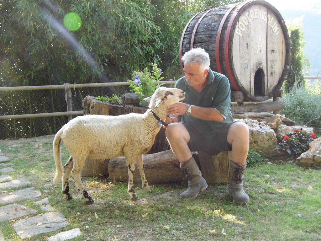 Casa Vacanze Podere Ugolini Ronta Luaran gambar