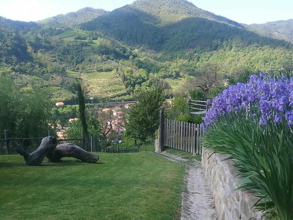 Casa Vacanze Podere Ugolini Ronta Luaran gambar