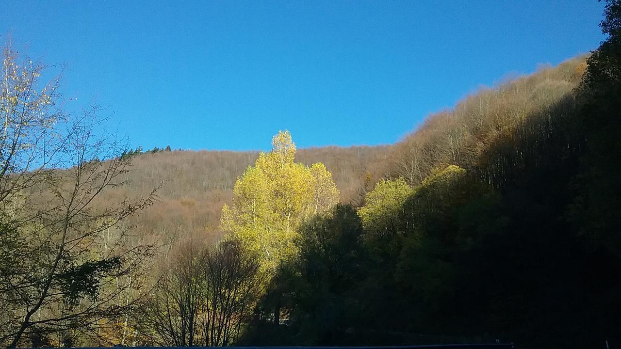 Casa Vacanze Podere Ugolini Ronta Luaran gambar