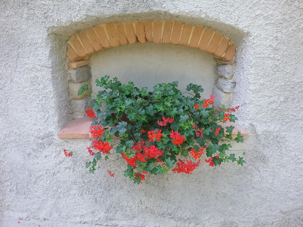 Casa Vacanze Podere Ugolini Ronta Luaran gambar