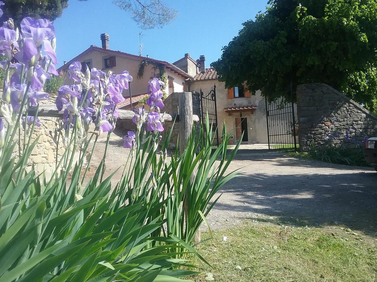 Casa Vacanze Podere Ugolini Ronta Luaran gambar